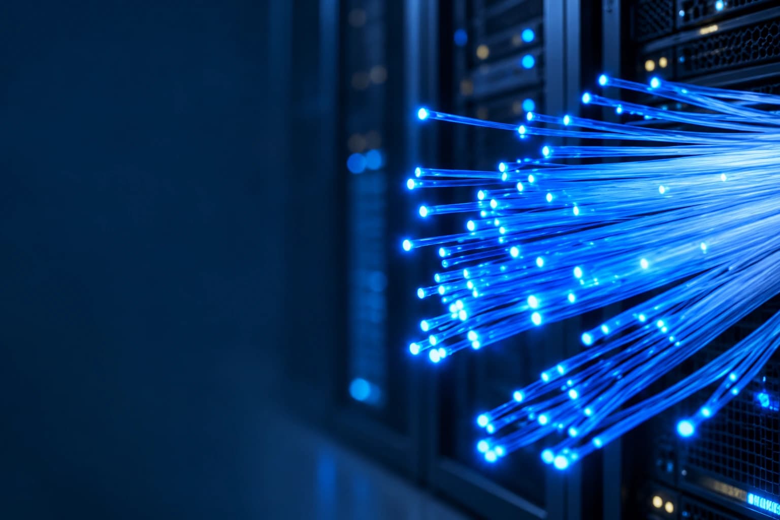Fiber Optic
